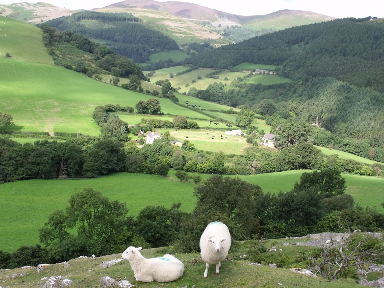 A scenic view of the Offa's Dyke Path