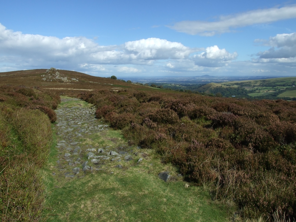 A signpost for a scenic walking trail