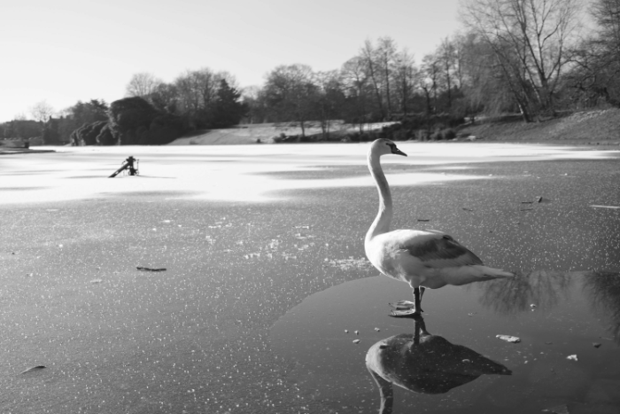 pexels-paul-groom-bristol-photog-29184071