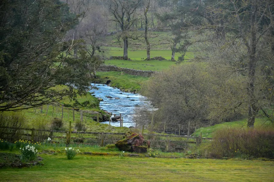 Scenic nature walks surrounding the hotel