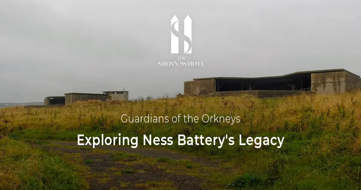 Ness Battery