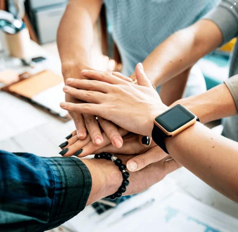 ZeeLink listings promoted across the host community
